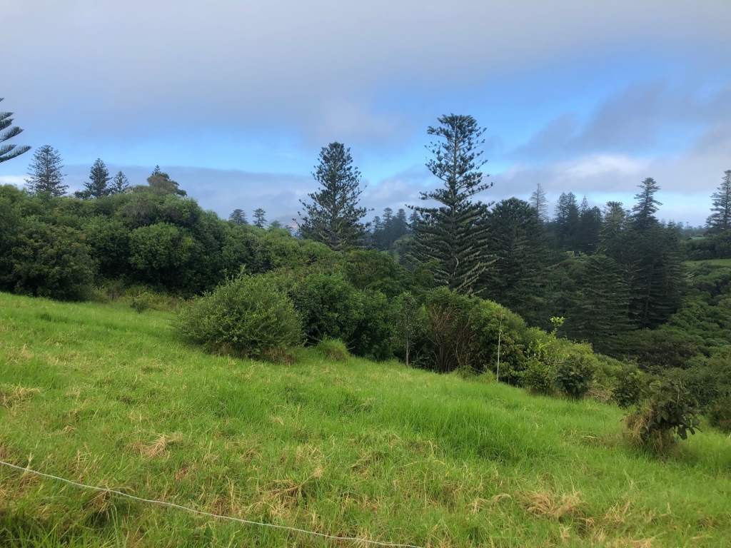 For Sale Norfolk Island Realty